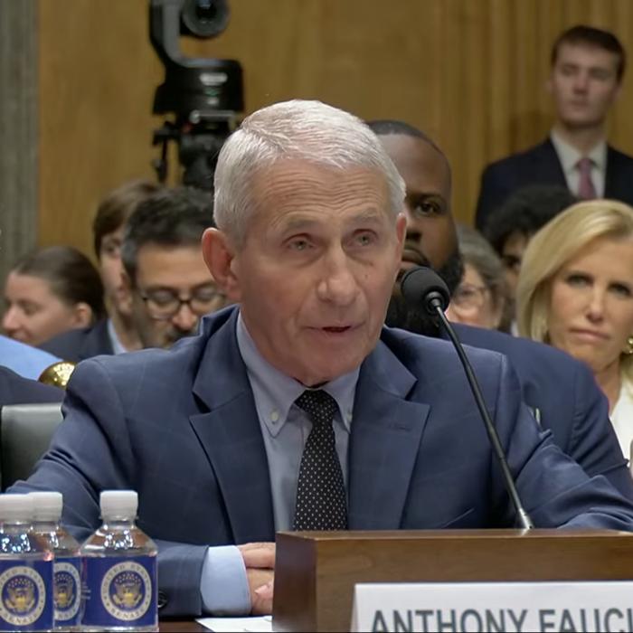 Fauci Invokes Fifth Amendment, Declines to Answer Questions at Senate Hearing on COVID-19 Response