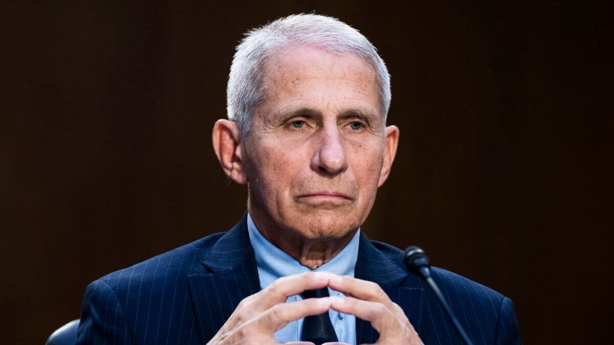 Fauci Diary Entries Reveal Close Relationship With CNN's Jake Tapper During Pandemic