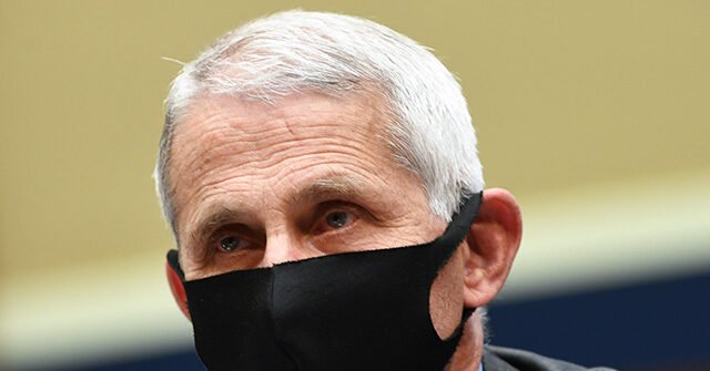 Moreno Links Fauci's School Closures to Inner-City Youth Violence Epidemic