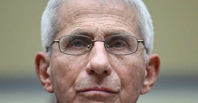 Tom Cotton Calls Fauci 'Lying Disgrace Who Should Be Prosecuted' After Diary Revelations