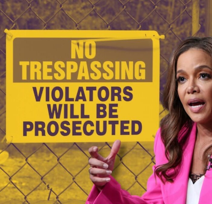 Sunny Hostin Faces Criticism Over Response to Son's Railroad Trespassing Arrest