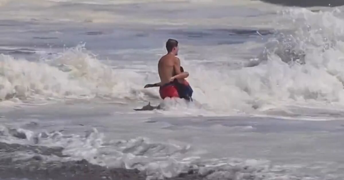 Trump to Honor Teenage Lifeguard Who Rescued Boy from Dangerous Surf with White House Ceremony