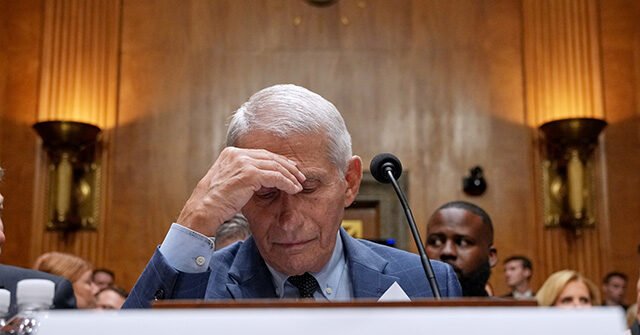 Fauci Texts Reveal NIAID Official Warned Against COVID Vaccine in First Trimester in 2021