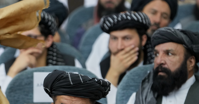 Taliban's Cheese Factory Tour in Belarus Vanishes From the Internet