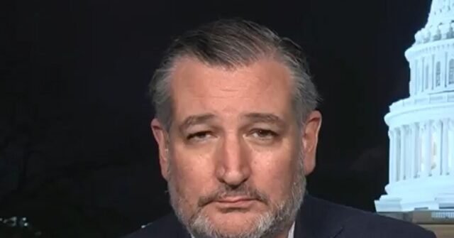 Cruz Slams Flock Cameras: 'I Don't Think the Government Should Be Surveilling Innocent Citizens'