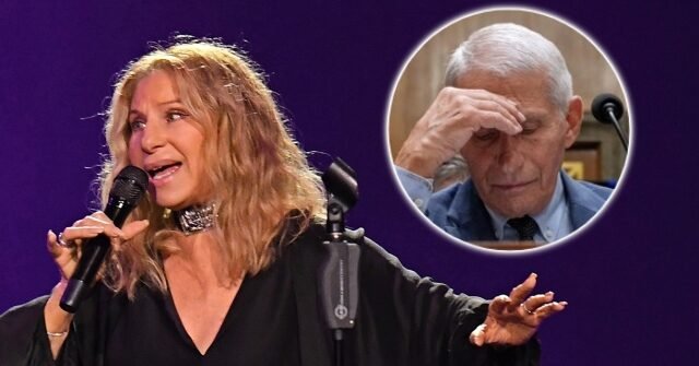 Barbra Streisand Calls Senate Action Against Fauci 'Disgraceful Witch Hunt'