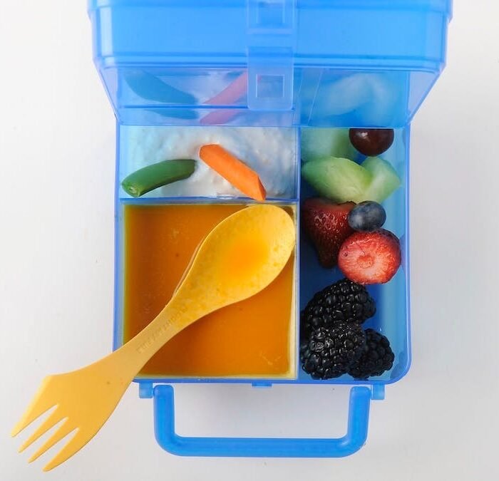 Fruit Snacks Out, Beef Sticks In: 8 MAHA-Friendly Back-to-School Snacks