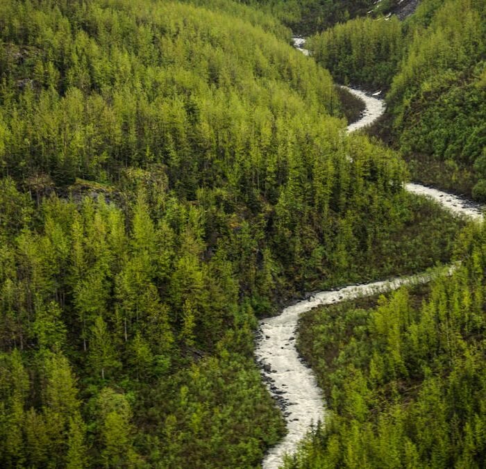 No Survivors in Alaska Plane Crash That Killed Army Engineers, Pilots