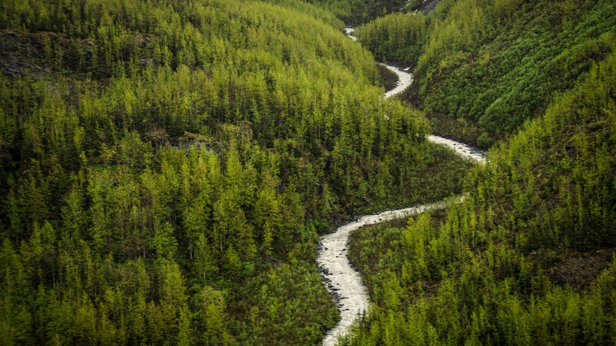 No Survivors in Alaska Plane Crash That Killed Army Engineers, Pilots