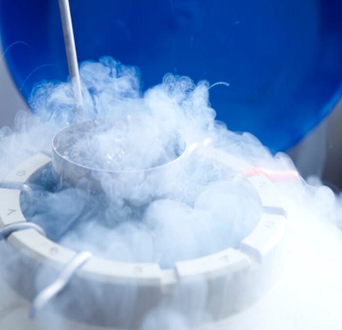 AOC's Egg Freezing Announcement Sparks Debate Over Fatherless Families