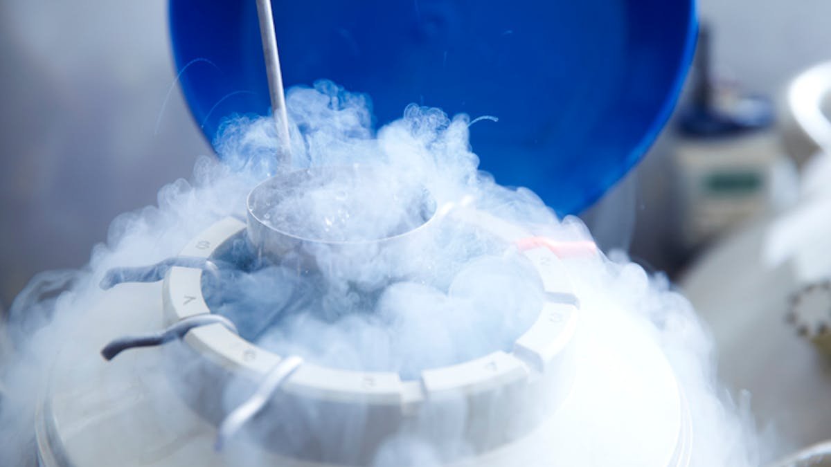 AOC's Egg Freezing Announcement Sparks Debate Over Fatherless Families