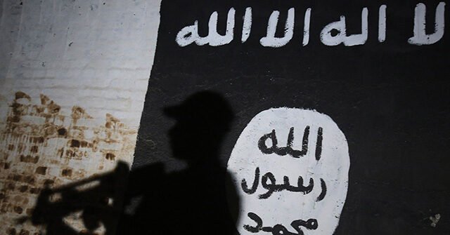 Gorka: White House Has 'Permanently Removed' Over 1,600 Jihadi Terrorists