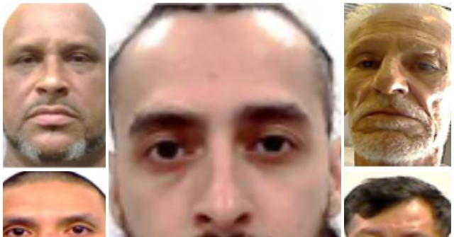 ICE Arrests Illegal Alien Pedophiles, Rapists, Kidnappers in Nationwide Sweep