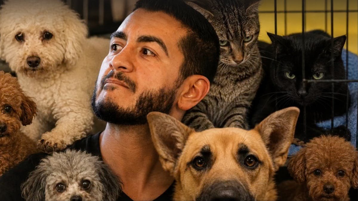 El-Sayed Says He's 'Not Much of an Animal Guy' After 4,680 Dogs and Cats Euthanized Under His Watch