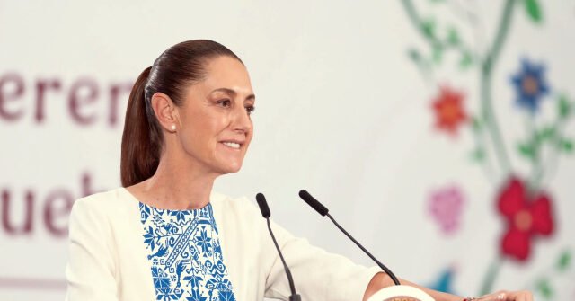 Sheinbaum Defends AMLO's Son After US Visa Revocation Over Fuel Allegations