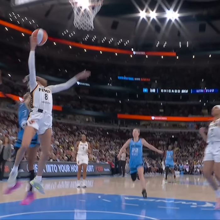 NBA Accused of Enabling WNBA's 'Anti-White Violence' After Foul Sparks Outcry
