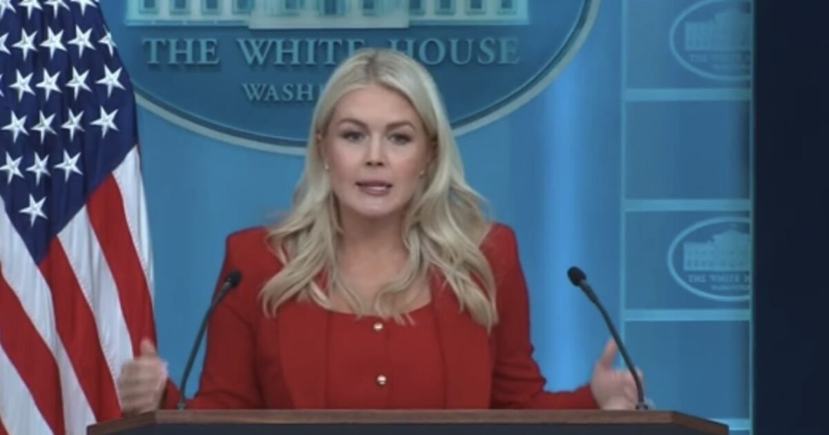 Alina Habba and Matthew Boyle Emerge as Frontrunners to Replace Karoline Leavitt as Press Secretary