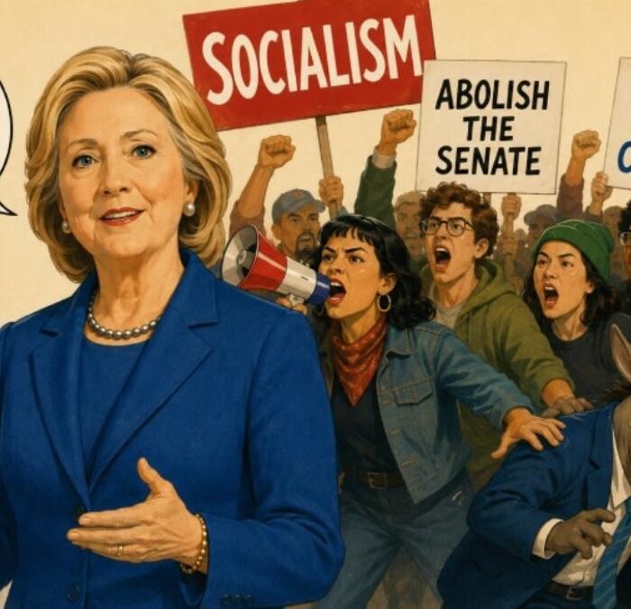 Hillary Clinton's 'healthy' Democratic Party remark draws fire from conservatives