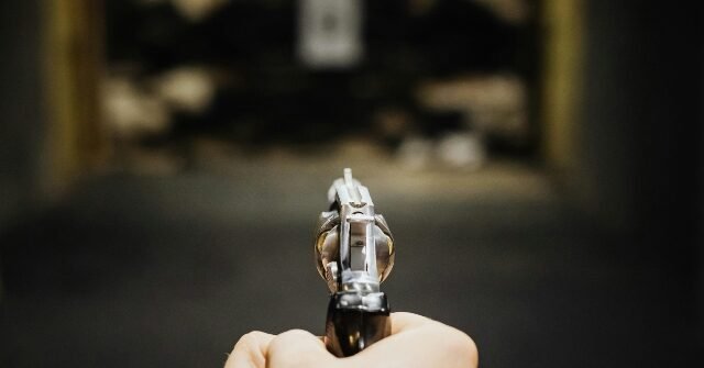 South Carolina Homeowner Shoots, Kills Alleged Intruder Early Sunday