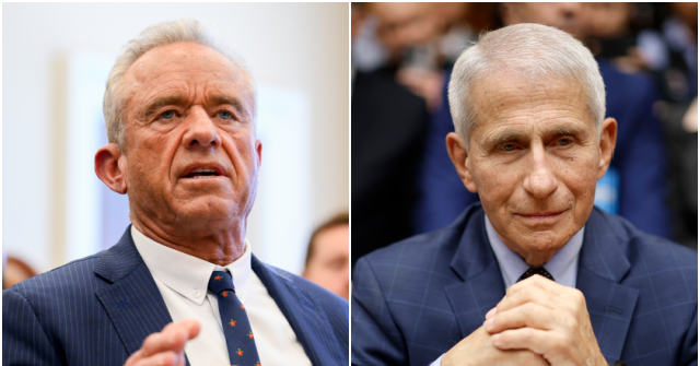 Kennedy Slams Fauci: 'He Knew That He Was Lying'