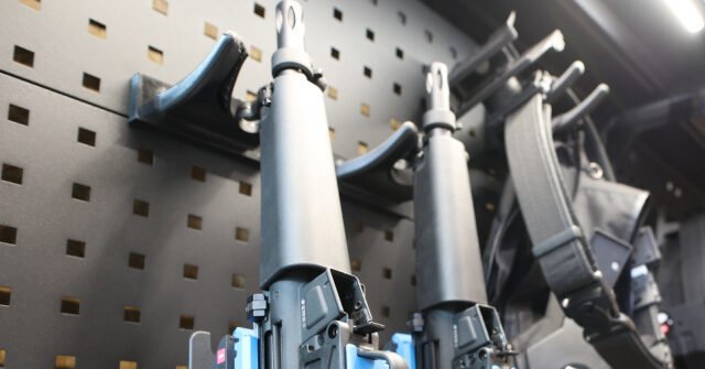 Wisconsin Court Strikes Down County Rules Requiring Foster Parents to Store Guns Unloaded