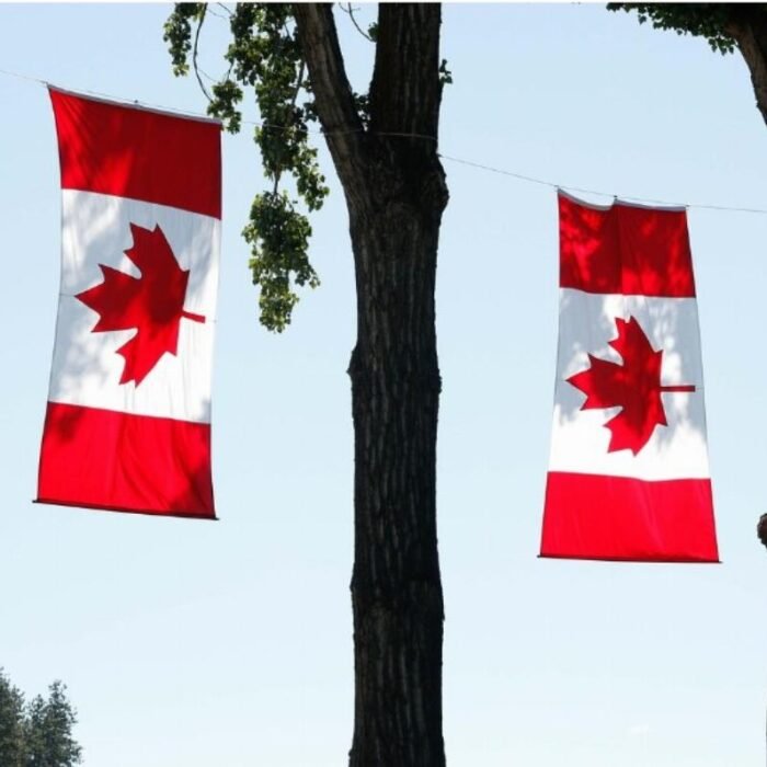 Is Canada's trade collapse a political gambit aimed at the US midterms?