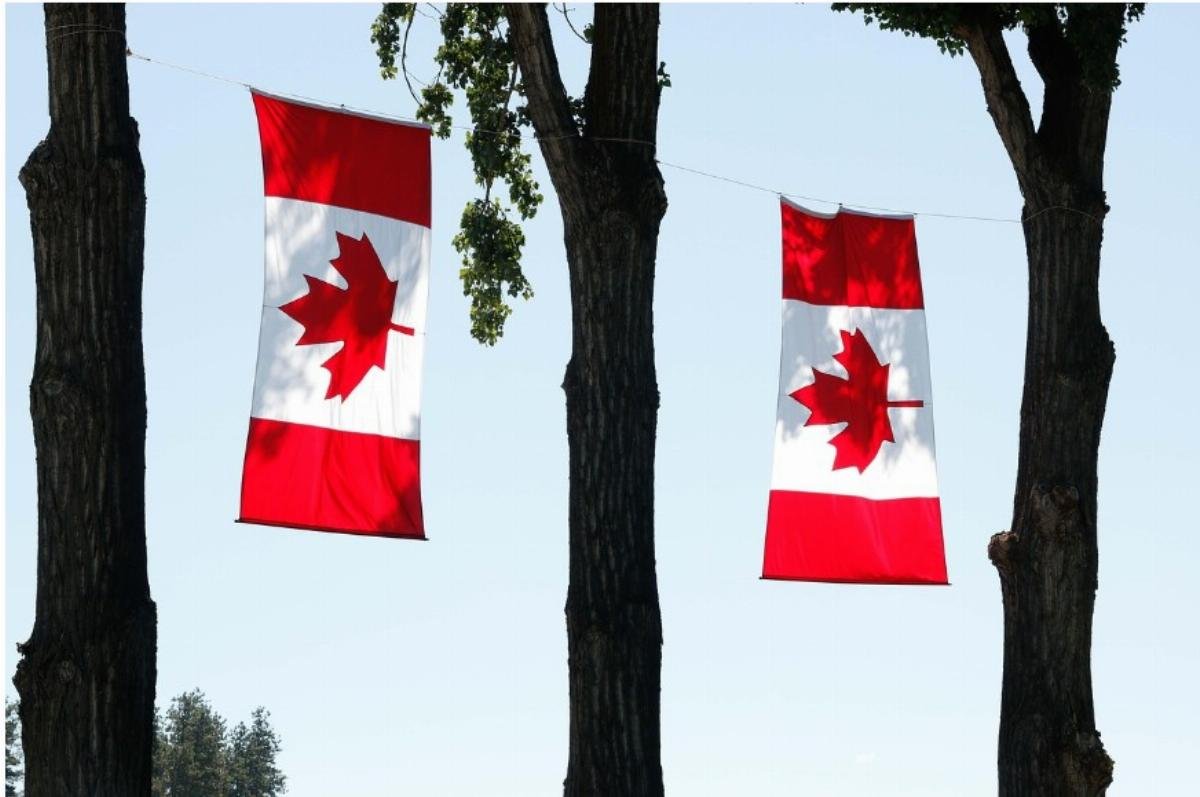 Is Canada's trade collapse a political gambit aimed at the US midterms?