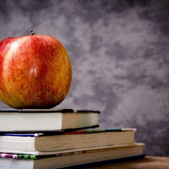 American Thinker Columnist Proposes Five-Point Plan to Dismantle 'Education Establishment'