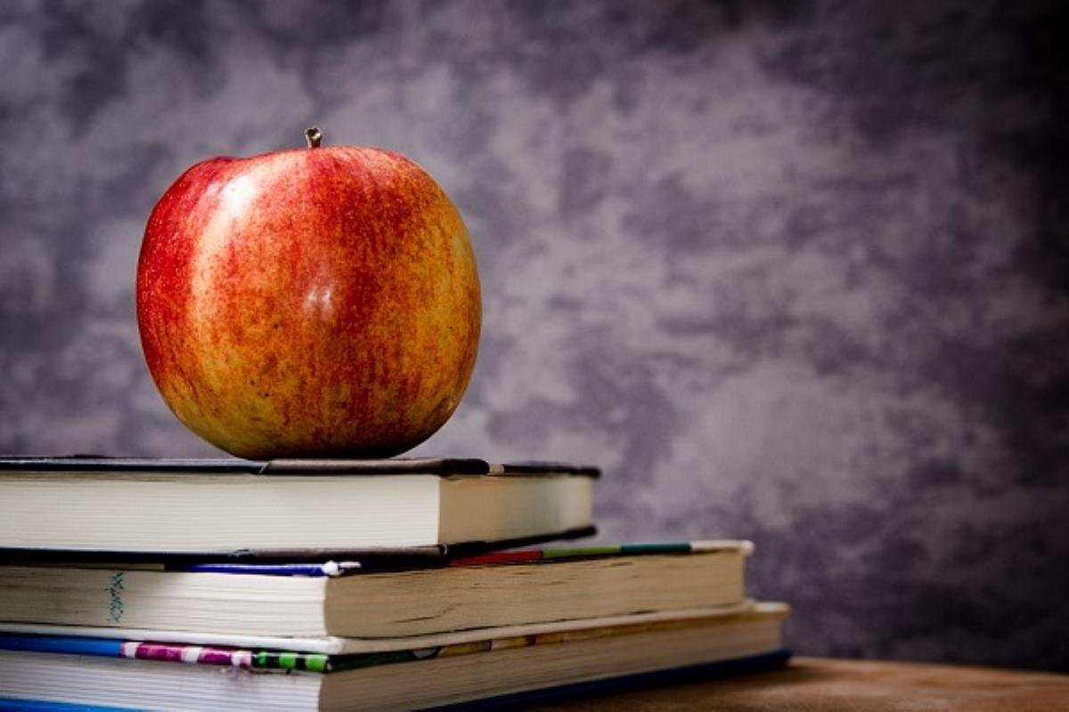American Thinker Columnist Proposes Five-Point Plan to Dismantle 'Education Establishment'