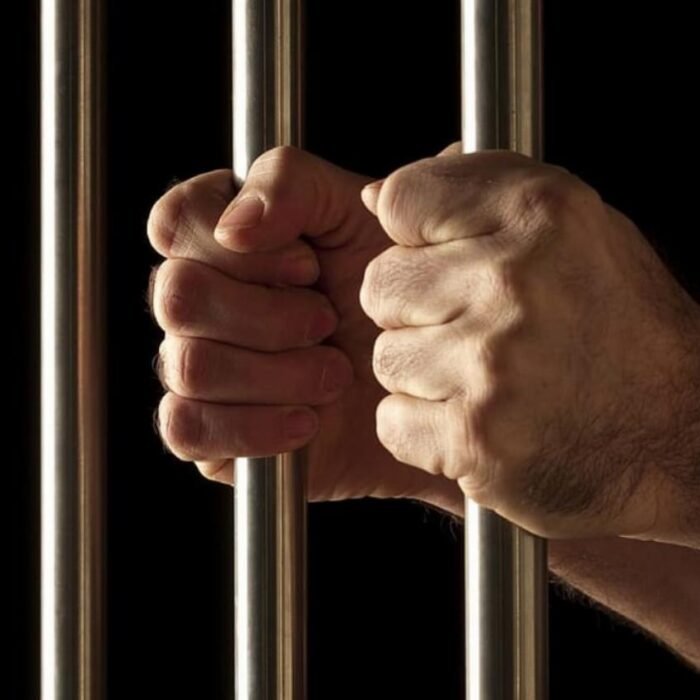 Canadian Man Alleges He Was Certified and Institutionalized After Criticizing Government, American Thinker Reports