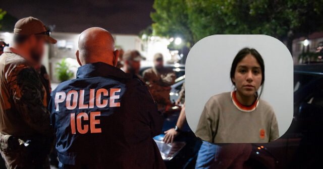 Federal Judge Blocks Virginia's Anti-ICE Policing Law
