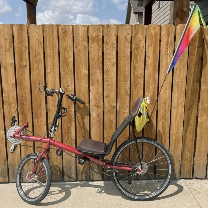 A Surgeon's Warning on E-Bikes: 'Don't Get One for Your Child'