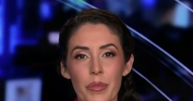 GOP Rep. Luna Calls DSA Candidate Claire Valdez's 'Fight for Mexico' Pledge 'Embarrassing'