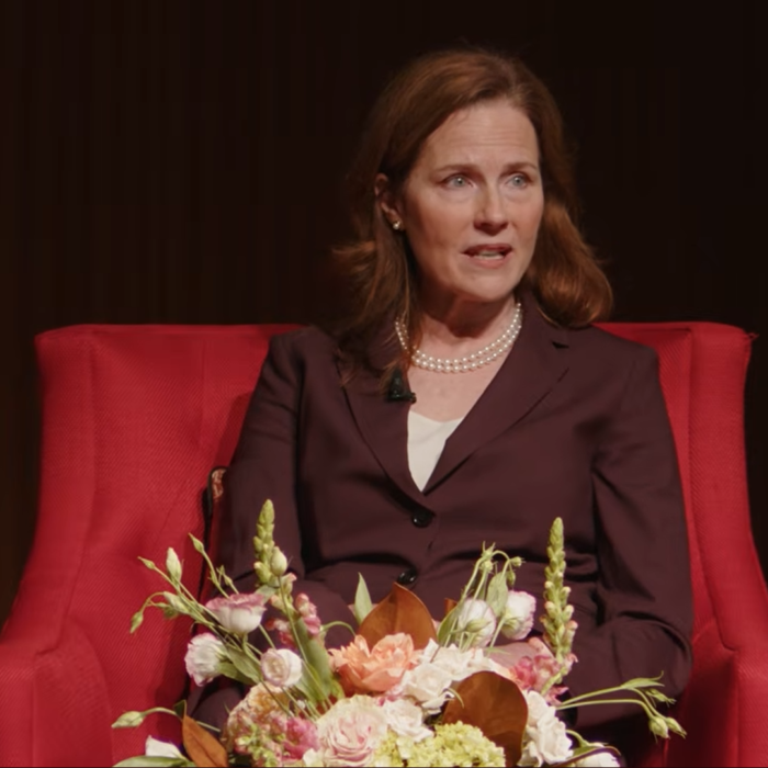 Barrett Breaks Silence After Birthplace Citizenship Ruling, Says She Has 'Thoughts' on Court Term Limits