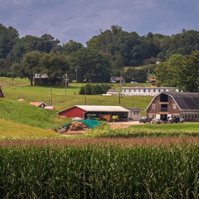 Democrats' Rural Strategy Exposed: 'Infiltrate, Outnumber, Outvote'