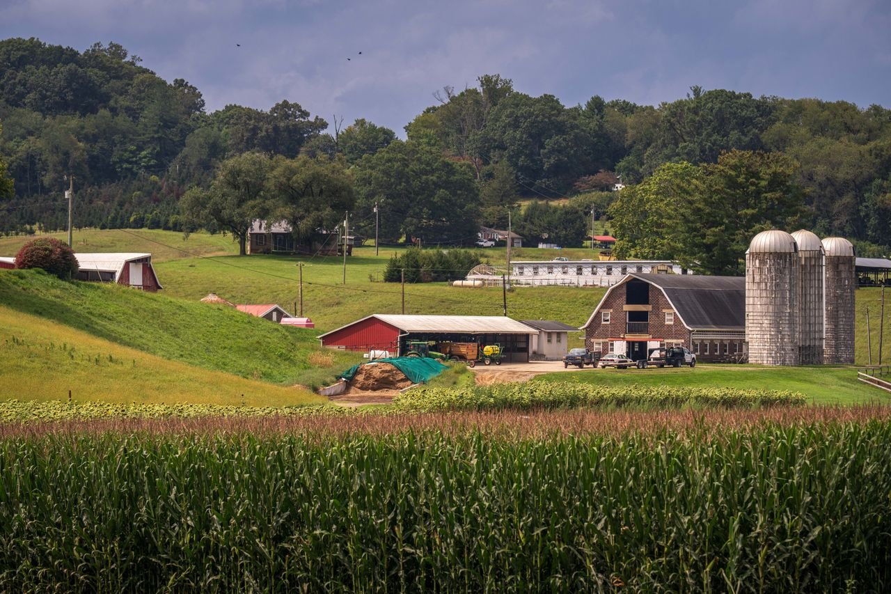 Democrats' Rural Strategy Exposed: 'Infiltrate, Outnumber, Outvote'
