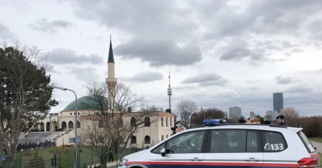 Austria Announces Plan to Ban 'Political Islam,' Target Muslim Brotherhood