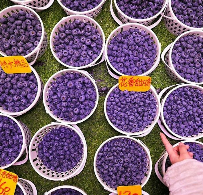 Driscoll's Built China's Blueberry Market. Chinese Growers Copied Its Varieties — and Prices Collapsed