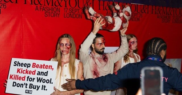 PETA Protesters Storm H&M London Runway With 'Wool Is Bloody Cruel' Signs