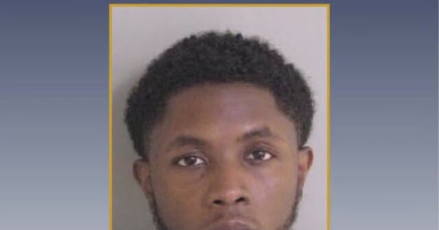 Louisiana 'New Teacher of the Year' Kyle Delaney Arrested After Double Shooting in Gonzales