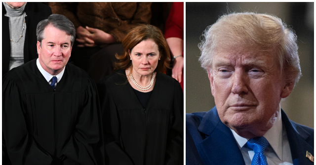 Trump DOJ Asks Supreme Court to Restore SAVE Program for Voter Roll Purges