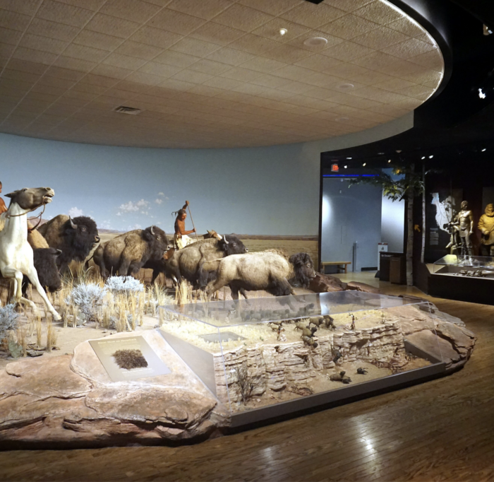 Lawmaker Challenges Smithsonian Director Over Land Acknowledgements and 'Stolen Land' Claims