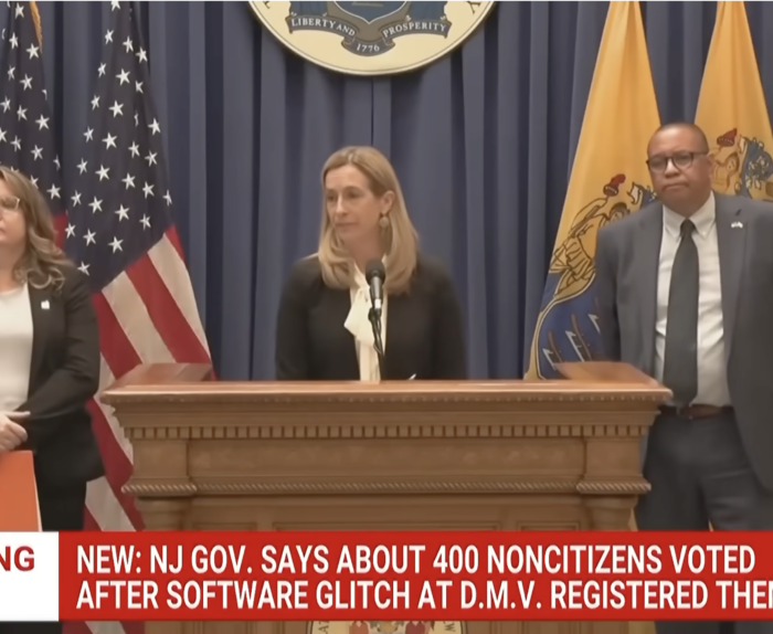 House Hearing on New Jersey's Voter Rolls: 'Just the Tip of the Iceberg,' Experts Warn