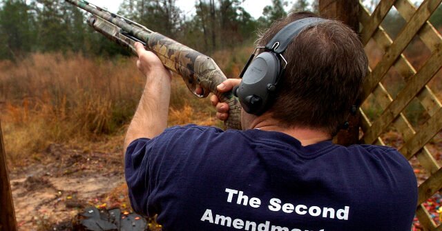 New Republic Calls Armed-Citizenry Check on Tyranny a 'Pop Constitutional Concept' Ahead of Major AR-15 Case