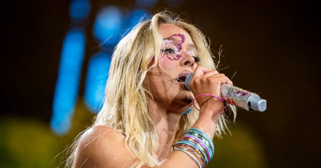 Zara Larsson Calls White House 'F**king Losers' for Using Her Song in Deportation Video