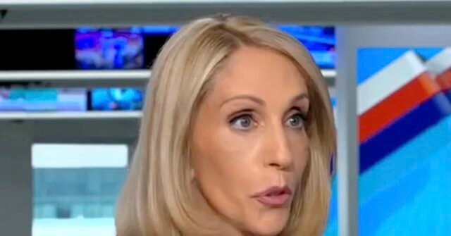 CNN's Dana Bash Calls Michigan Poll Finding 45% Won't Back a Muslim Candidate 'Just Gross'