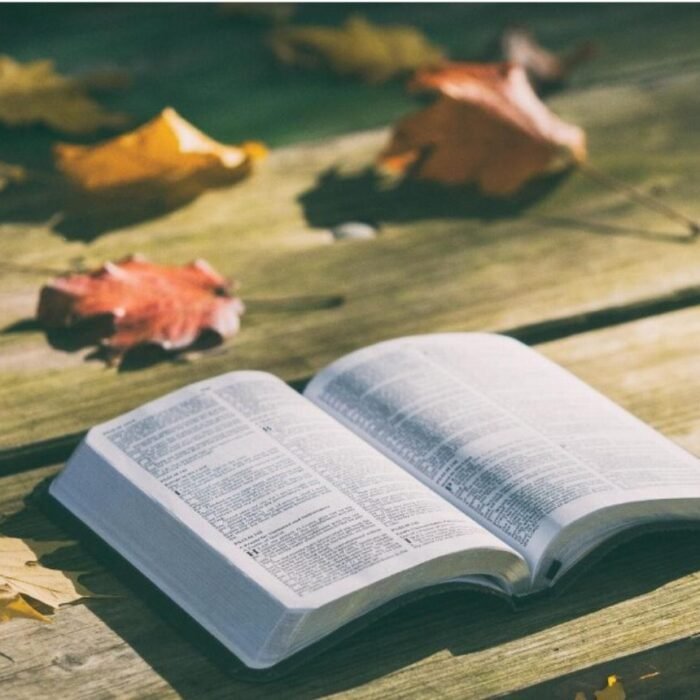 American Thinker Argues Christians Have No Biblical Excuse to Skip the Ballot Box