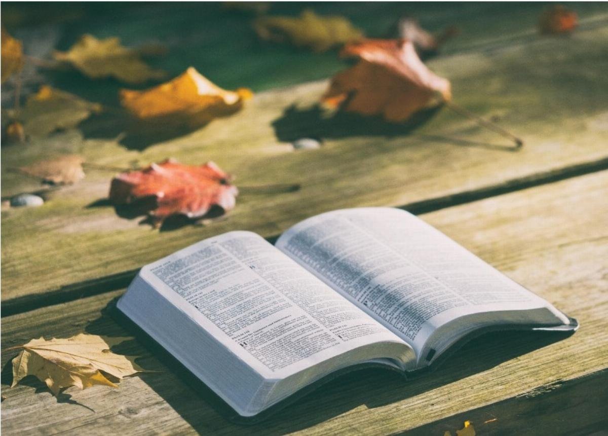 American Thinker Argues Christians Have No Biblical Excuse to Skip the Ballot Box