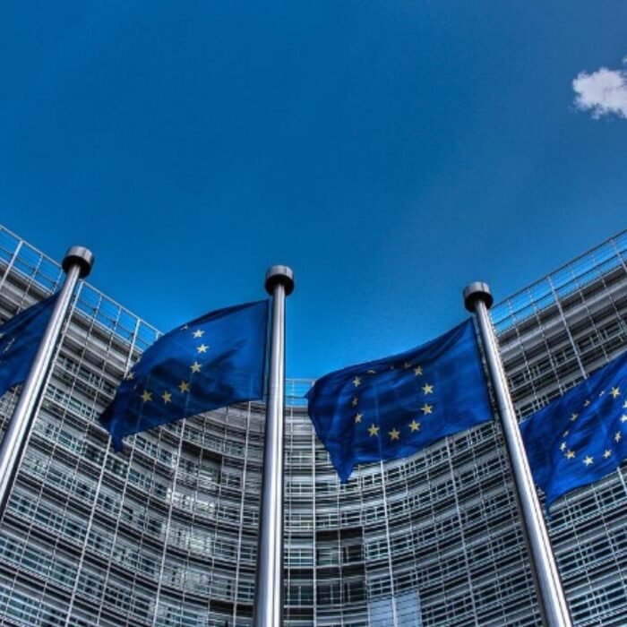 American Thinker Columnist Urges Europeans to 'Overthrow' Their Ruling Class Over Russia War Push