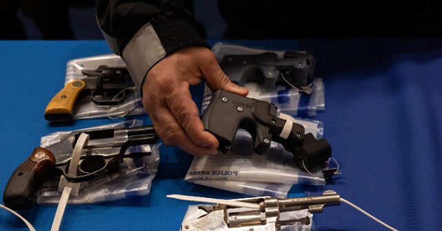 Federal Judge Strikes Down Delaware 'Ghost Gun' Ban as Unconstitutional